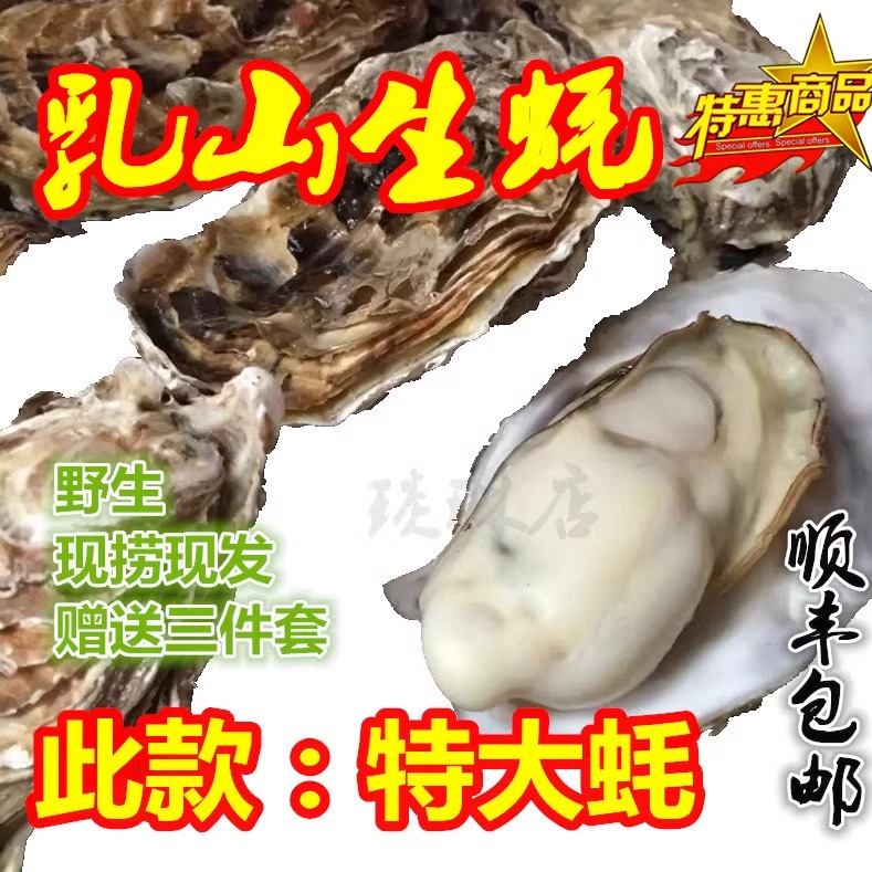 乳山生耗牡砺海砺子野生新鲜生蚝鲜活水产10斤海鲜贝壳顺丰包邮