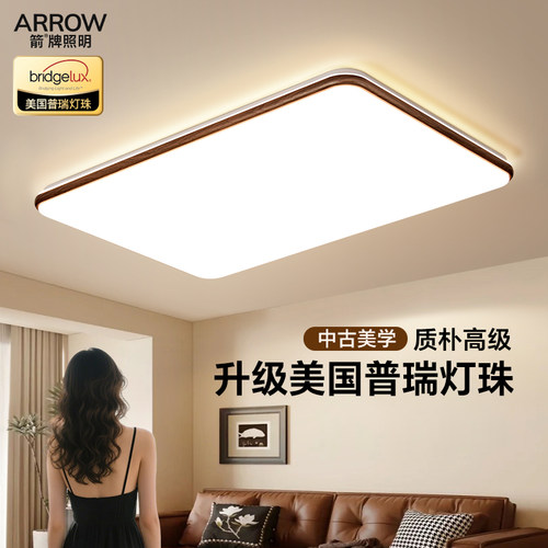 箭牌中古风无缝隙客厅吸顶灯