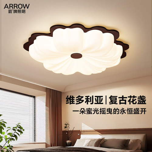 箭牌胡桃木色卧室吸顶灯全光谱灯