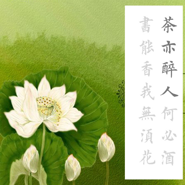 11164 田英章楷书欧体楷书集字 茶能醉人何必酒书能香我何须花