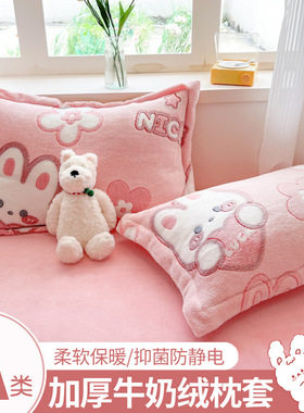 牛奶绒枕套一对装48cmx74cm儿童枕头套单个枕头芯内胆套2025新款