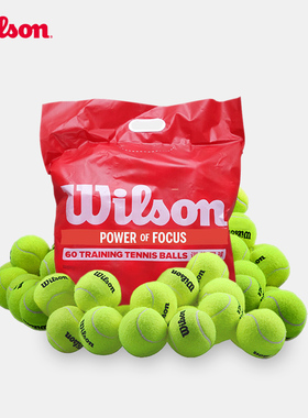 Wilson威尔胜网球散装比赛训练威尔逊初学无压整袋耐打专业网球车