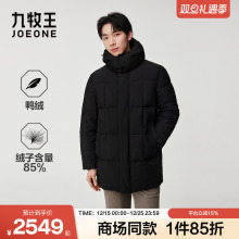 [商场同款]九牧王男装2025冬季新款立领连帽派克款商务男款羽绒服