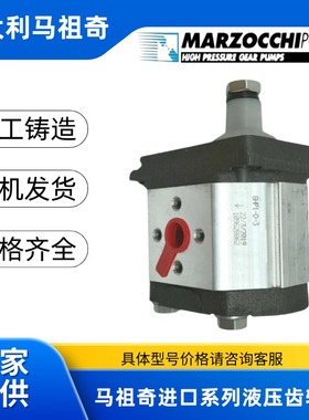 意大利马祖奇齿轮泵GHP1A-D系列/ALP2BK4-D系列 高压液压泵