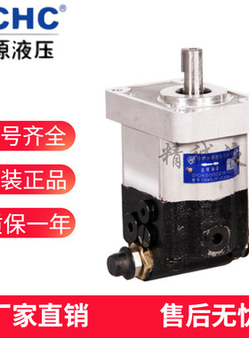 合肥长源液压复合双向齿轮油泵CBWS/F-D304/306/308/314/320-CLPS