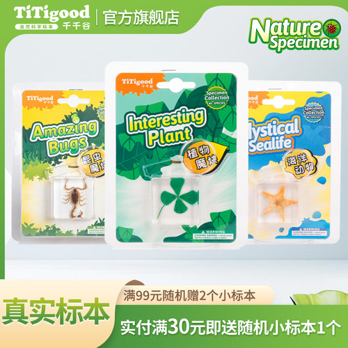 千千谷自然魔块昆虫标本树脂真实动物海洋螃蟹真虫子儿童科普玩具