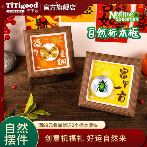 千千谷自然标本框装饰画送礼佳品真实动植物文创桌面玄关家居摆件