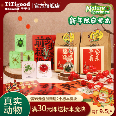 千千谷真实自然标本礼物
