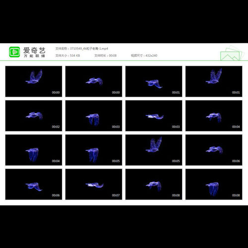 粒子老鹰飞翔路径动画无缝循环带alpha透明通道视频素材