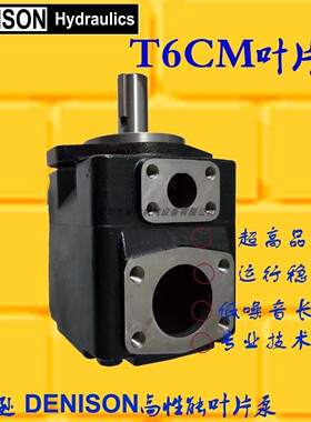 美国DENISON丹尼逊叶片泵T6CM-B06-1R00-C1 T6CM-B08-1R00-C5