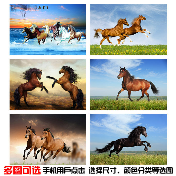 骏马海报 动物马海报 汗血宝马万马奔腾图动物园家居装饰贴画定制