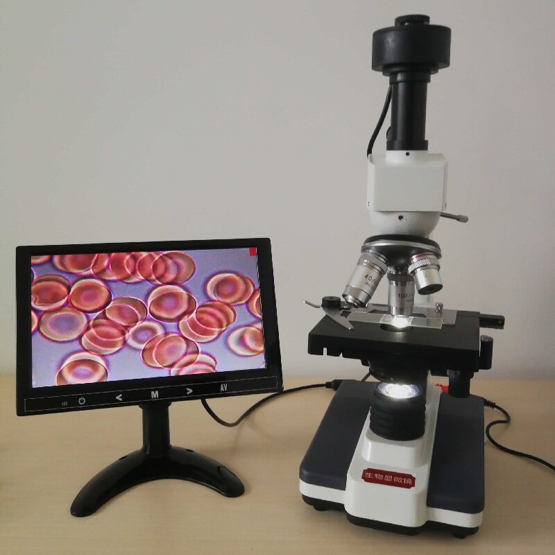 高清电子一滴血细胞观察检测仪精科学实验