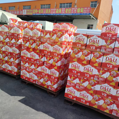 云南大理啤酒v8啤酒470ml500ml325ml大瓶小瓶灌装24瓶原箱批发