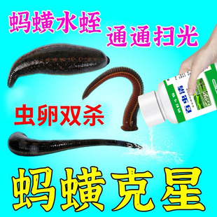 水蛭蚂蟥净专杀蚂蟥水产养殖乌龟青蛙塘蚂蟥水蛭克星杀蚂蟥必净
