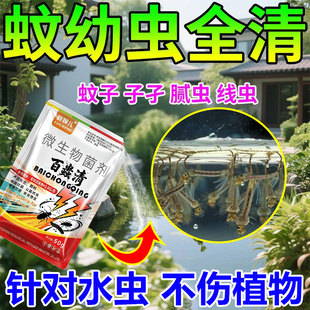 水培植物杀虫剂鱼塘水池水中灭虫水塘孑孓蚊子幼虫虫卵蚂蝗线虫
