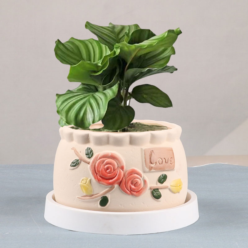 多肉花盆陶瓷圆形简约创意个性透气室内家用小绿植盆栽摆件带托盘