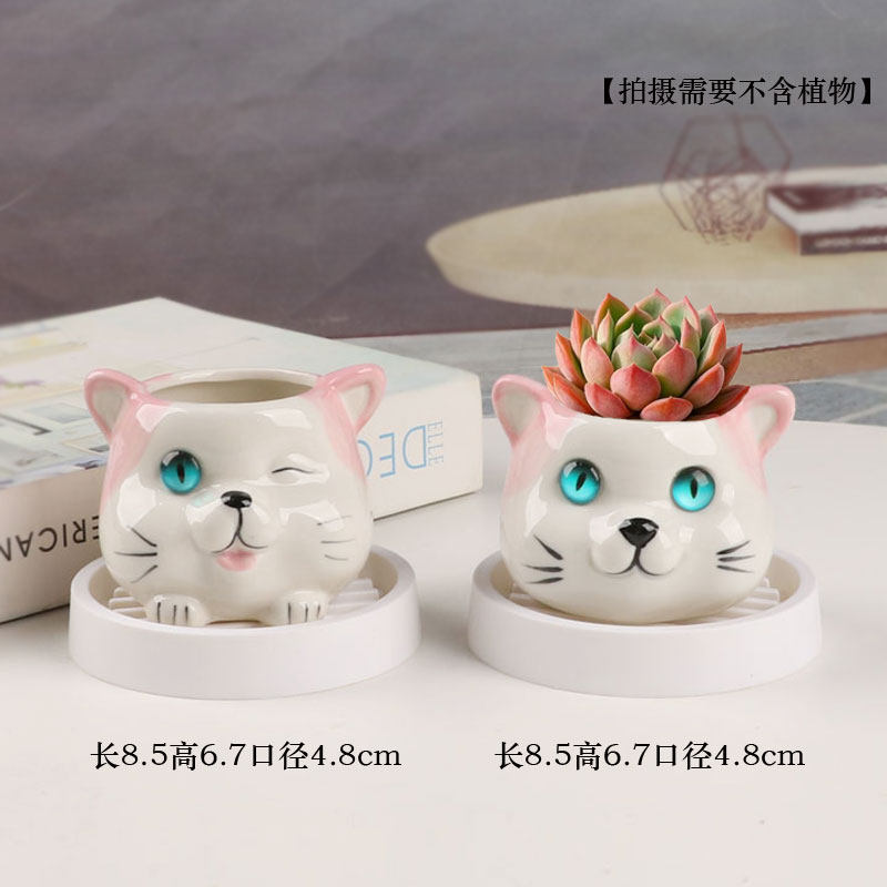 多肉花盆陶瓷圆形简约创意个性透气室内家用小绿植盆栽摆件带托盘