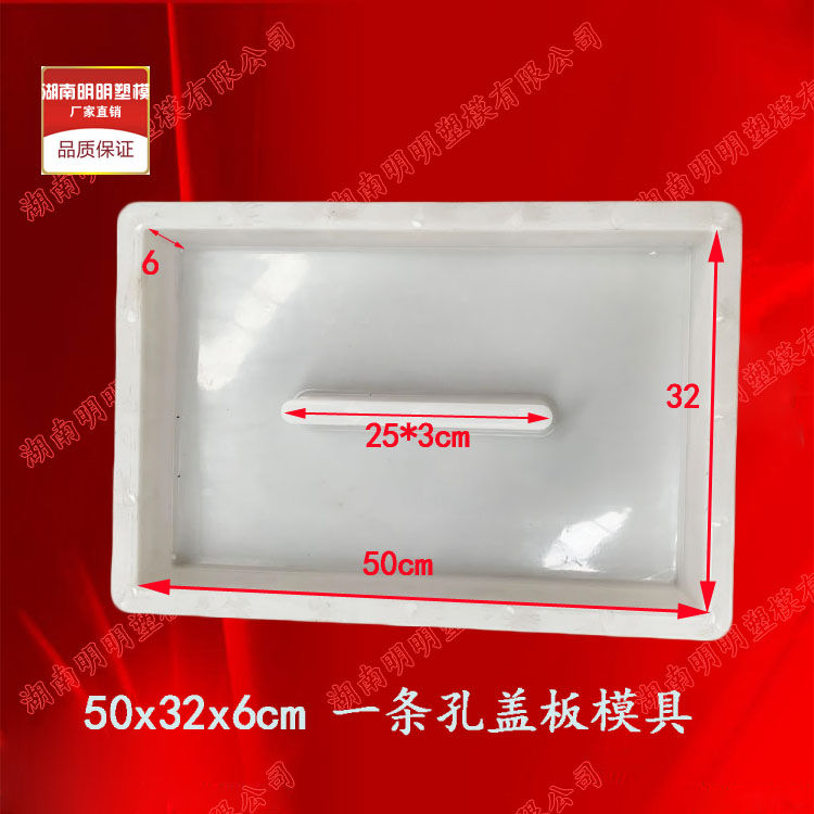 一条孔50X32X6盖板塑料模基础材料