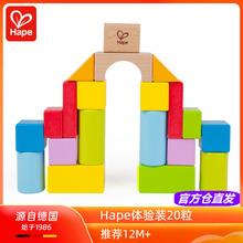Hape20粒益智积木80块木制拼装宝宝婴儿童早教玩具生日礼物1-3岁2