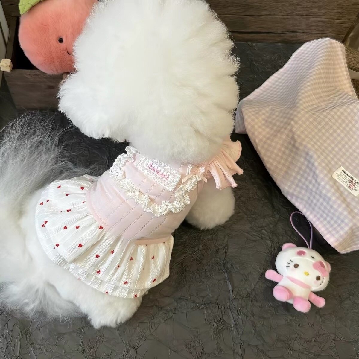 泰迪裙子小狗狗夏季衣服宠物小型幼犬比熊博美约克夏猫咪春夏薄款