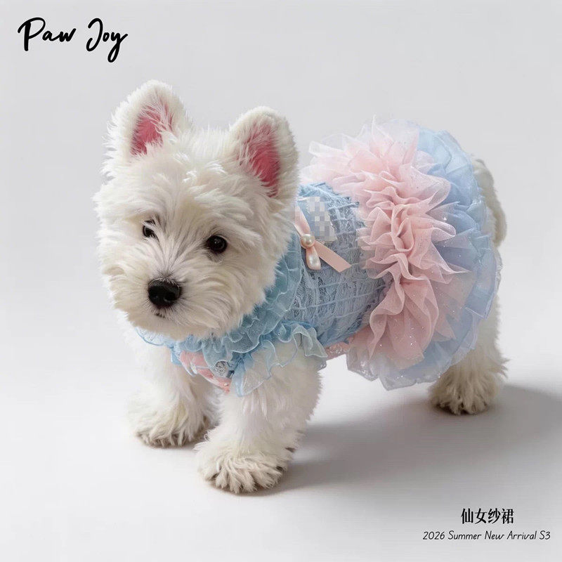 狗狗公主裙子小型犬小体夏季薄款猫咪衣服夏日连衣裙比熊泰迪贵宾
