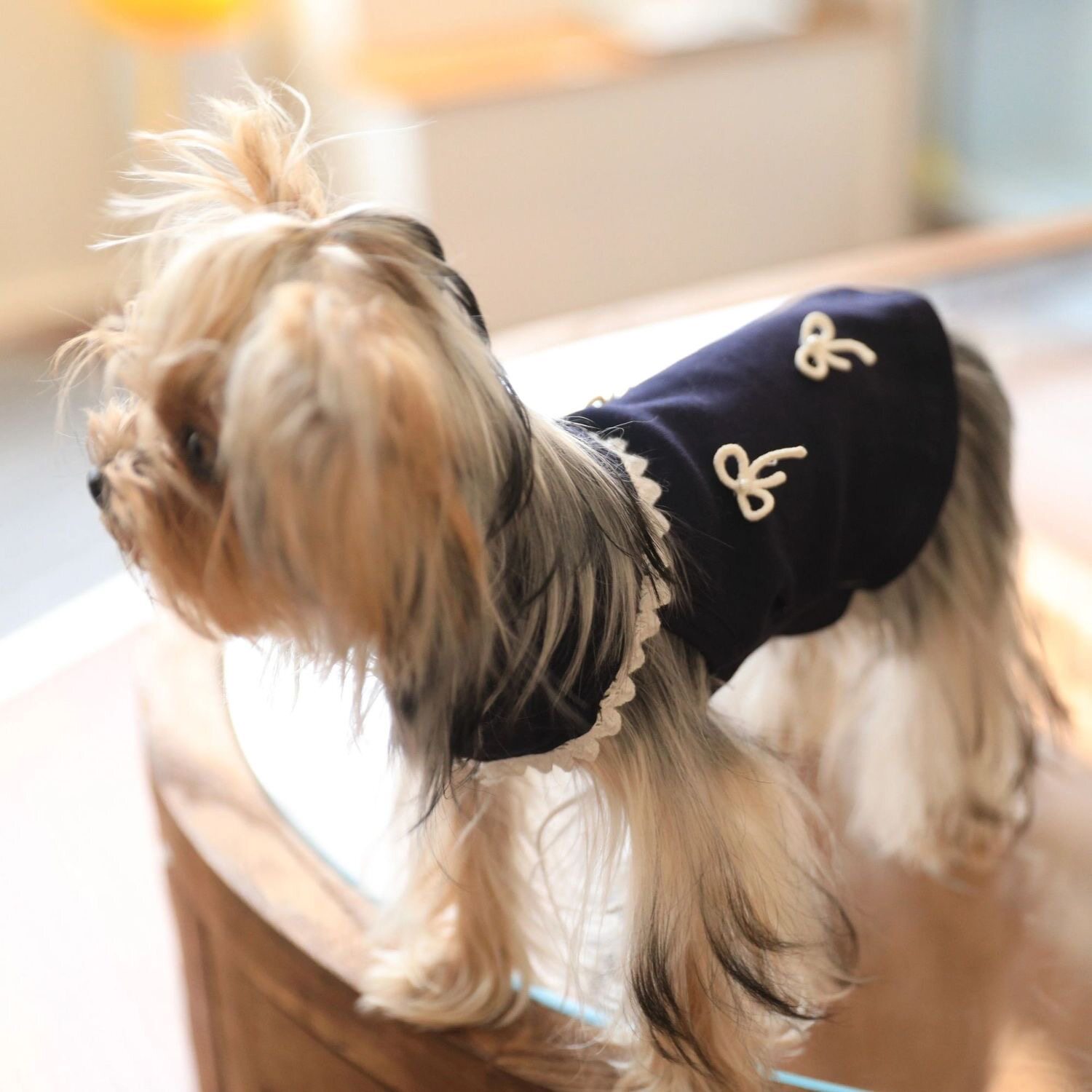 宠物狗狗衣服秋冬中小型犬比熊泰迪雪纳瑞猫咪约克夏德绒背心吊带