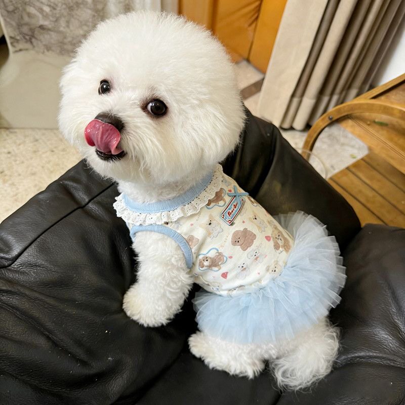宠物狗狗衣服可爱卡通印花蓬蓬裙春夏季猫咪芭蕾纱裙公主风连身裙