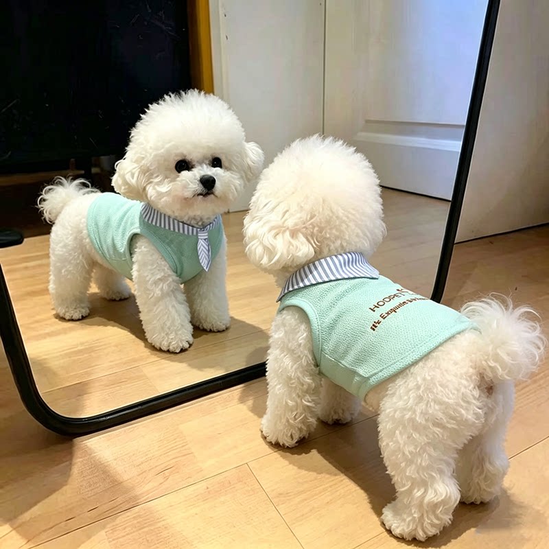 狗狗衣服夏季薄款背心学院风防掉毛透气西高地雪纳瑞比熊中小型犬