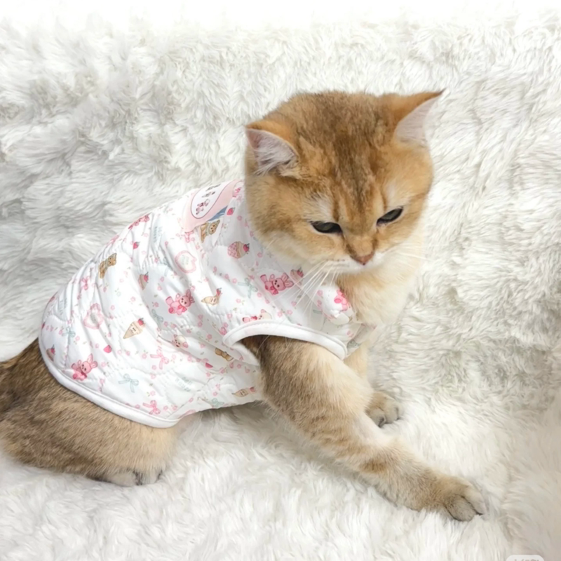 韩版秋冬狗狗保暖棉服宠物马甲外套可爱雪纳瑞泰迪比熊猫咪背心