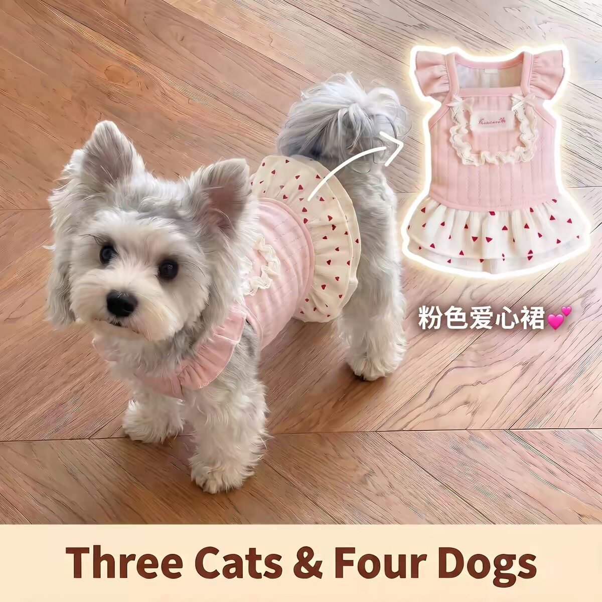 泰迪裙子小狗狗夏季衣服宠物小型幼犬比熊博美约克夏猫咪春夏薄款