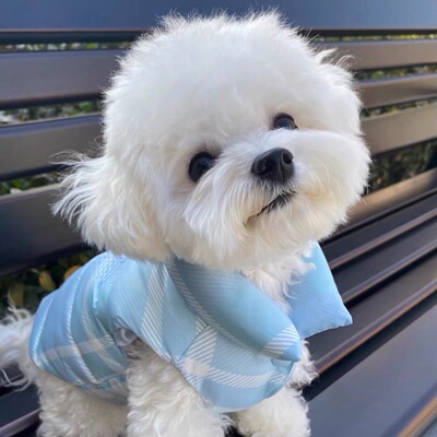 宠物衣服狗狗秋冬装泰迪比熊猫咪加厚保暖棉衣冬季格纹棉背心马甲