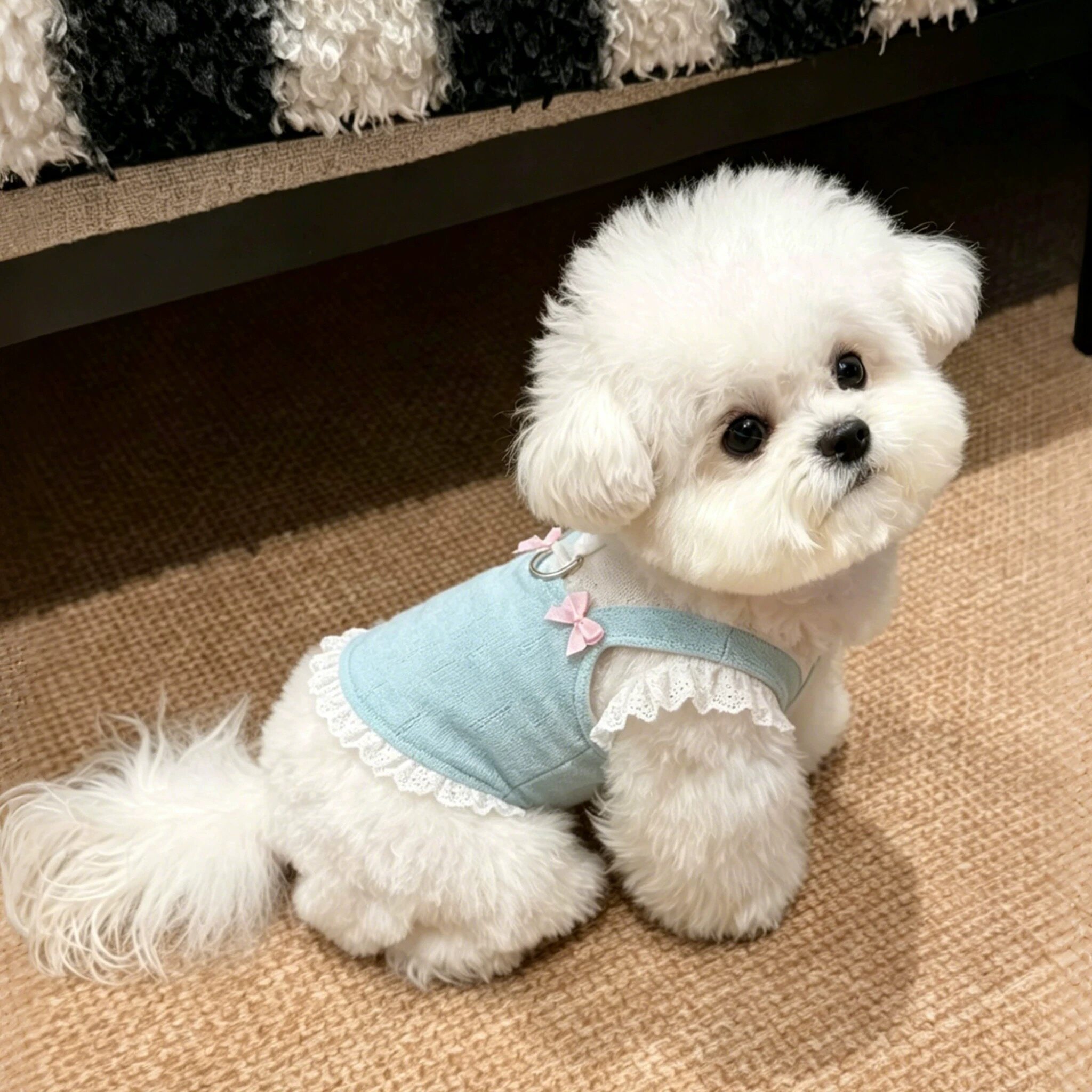 宠物狗狗衣服夏季薄款背心小型犬比熊泰迪2026新款猫咪吊带可牵引