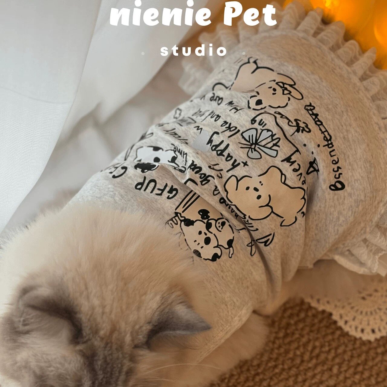 春夏狗狗猫猫薄款背心裙马尔济斯