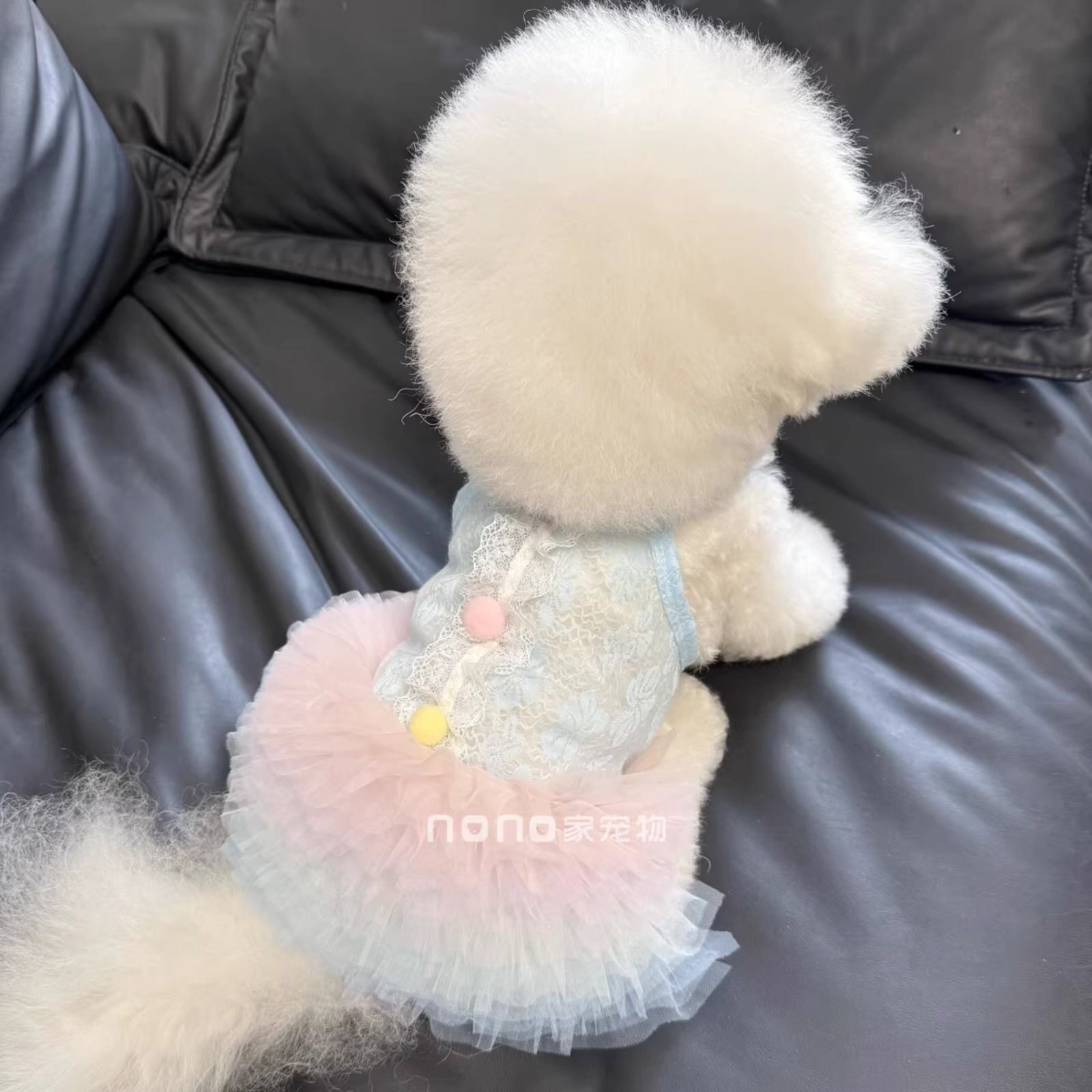 春夏薄款猫狗蕾丝渐变芭蕾蓬蓬裙