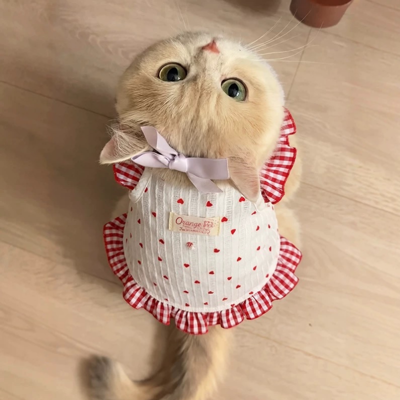 敲美的小裙子!清新可爱小型犬泰迪比熊猫咪博美碎花连衣裙春夏装