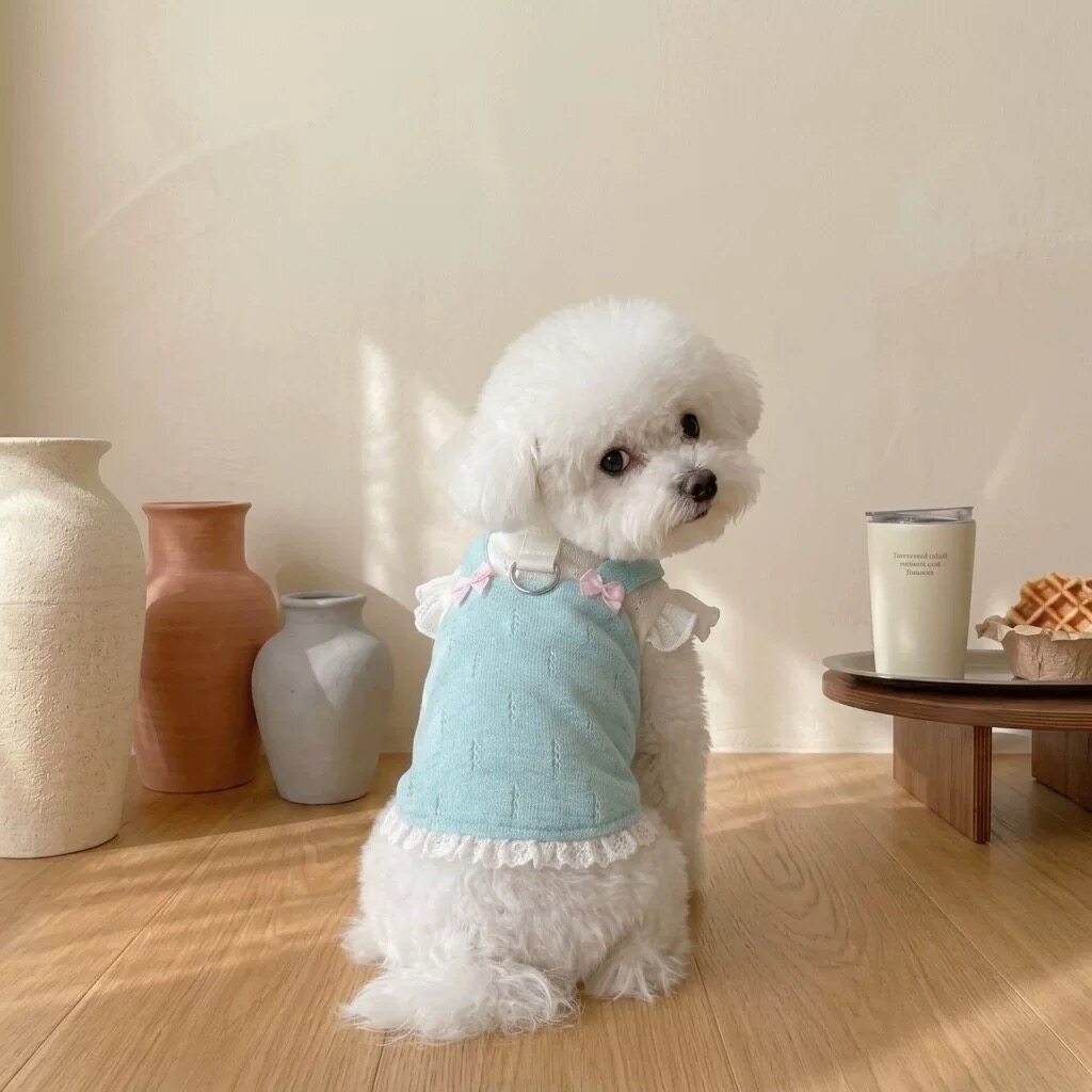宠物狗狗衣服夏季薄款背心小型犬比熊泰迪2026新款猫咪吊带可牵引