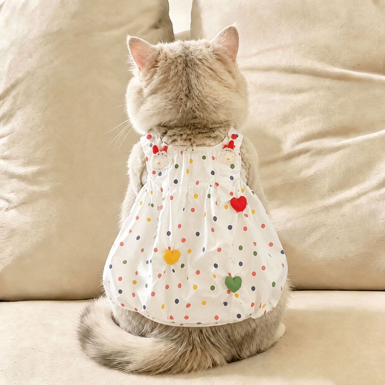 彩色波点连衣裙宠物衣服猫咪小型犬小体狗狗夏季吊带裙子马尔济斯