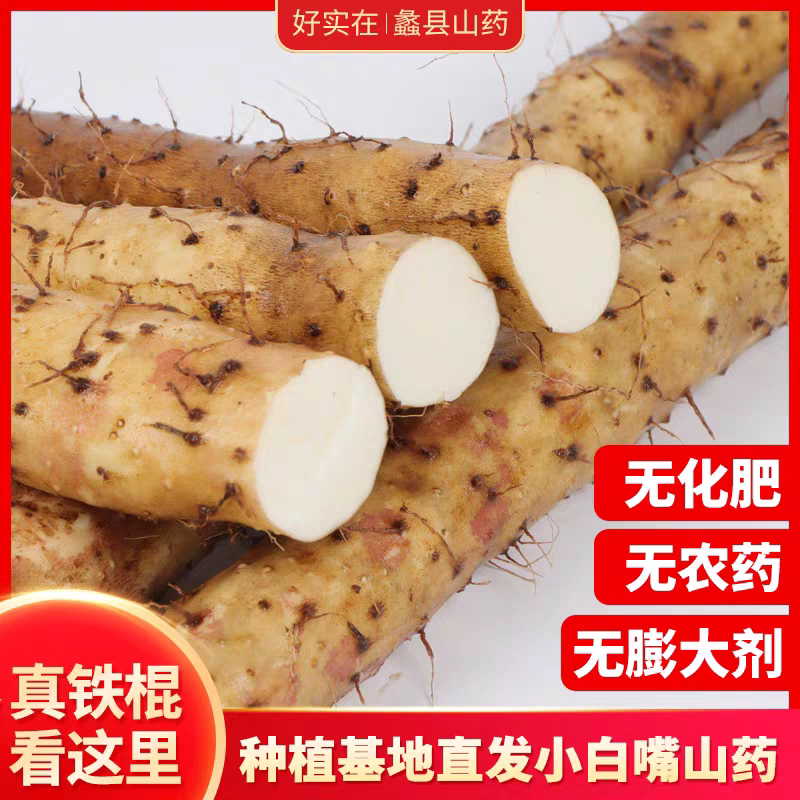 河北正宗小白嘴山药特产新鲜铁棍山药粉糯淮山药断节5斤包邮助农