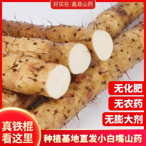 河北正宗小白嘴山药特产新鲜铁棍山药粉糯淮山药断节5斤包邮助农