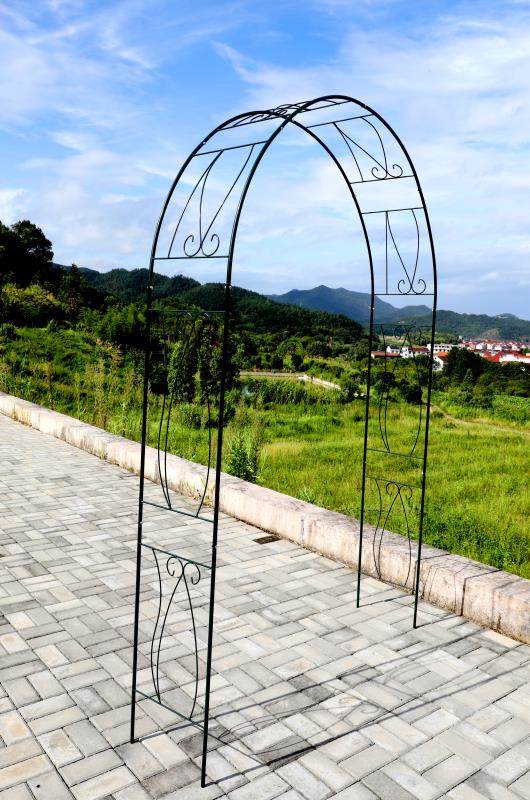 新款户外铁制拱门藤本月季爬藤花架