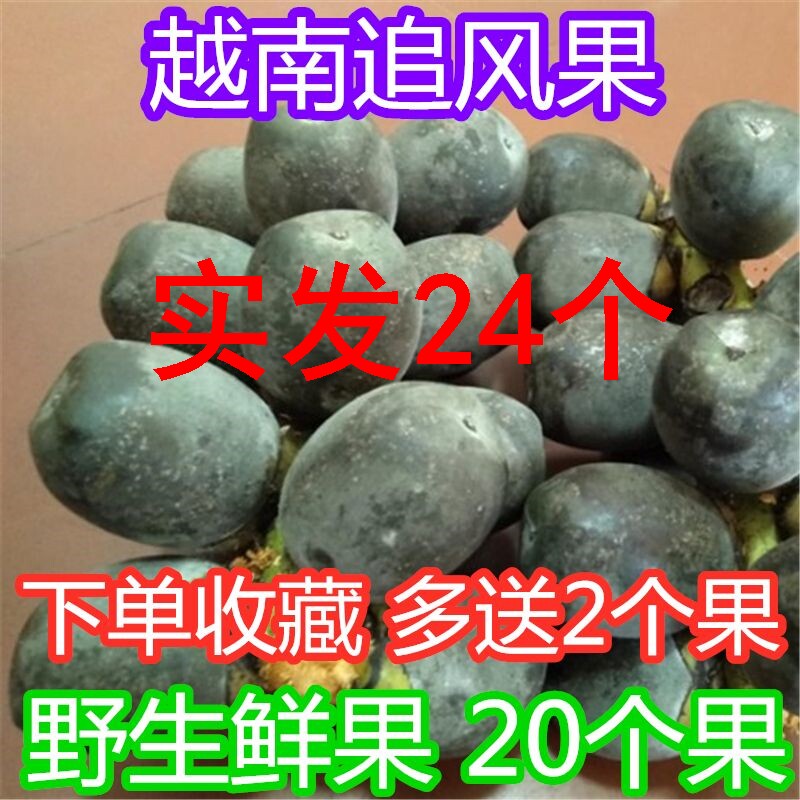 越南正宗新鲜追风果刺虎鲜果24个果泡酒外用送中药材包邮