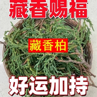 正宗西藏藏香柏枝叶天然藏香供火柏香枝净宅养水晶养文玩藏地树枝