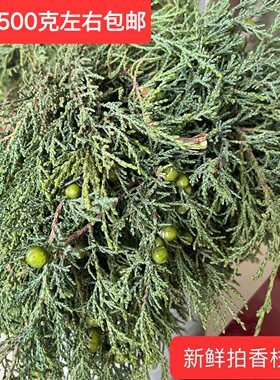 煨桑火供烟供新鲜柏香枝藏地树枝香薰料天然藏香柏香浓香型一斤装