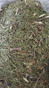 天然柏香木粉香柏粉煨桑 藏香装藏熏香粉 粗柏香粉 一斤
