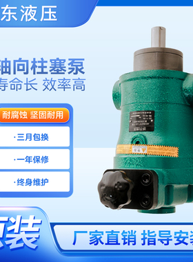 10SCY 25SCY 40SCY 63SCY 80SCY 160SCY 250SCY14-1B轴向柱塞泵