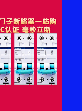 西门子空气开关断路器2P3P4P家用16a20a25a32a40a总开关总闸空开