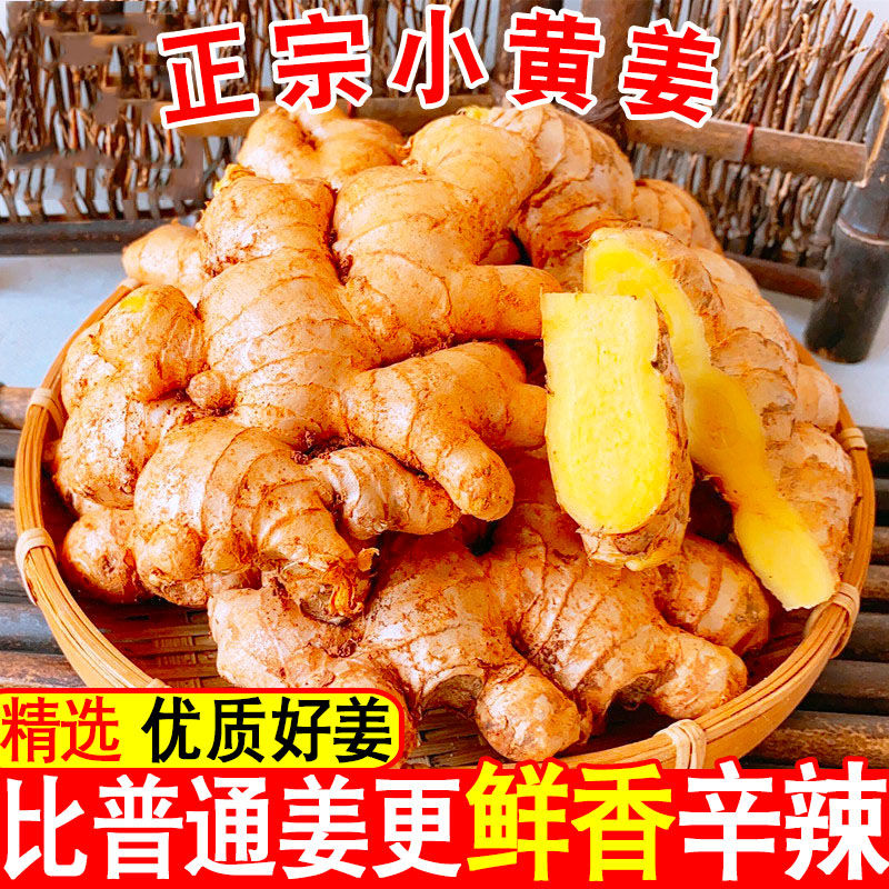 云南高山小黄姜新鲜生姜现挖老姜生姜/南姜
