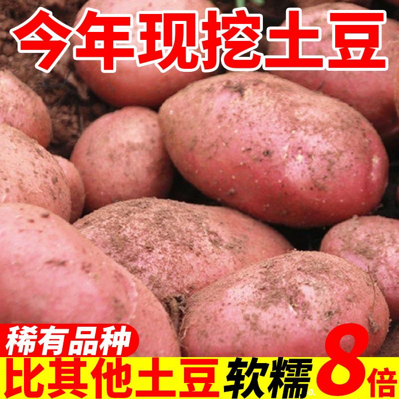 云南高原新鲜2024现挖红皮粉土豆