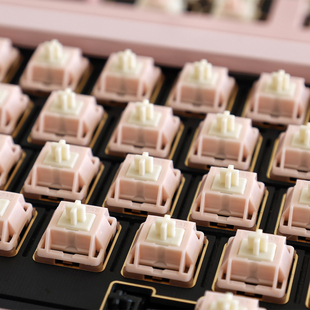 SOULCAT轴体体验包（不支持无理由退款）