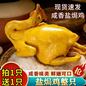 盐焗鸡整只手撕鸡古法盐焗鸡休闲零食鸡肉类加热即食熟食下酒菜